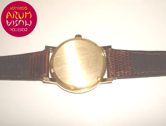 Omega Vintage ARUM Ref. 2795