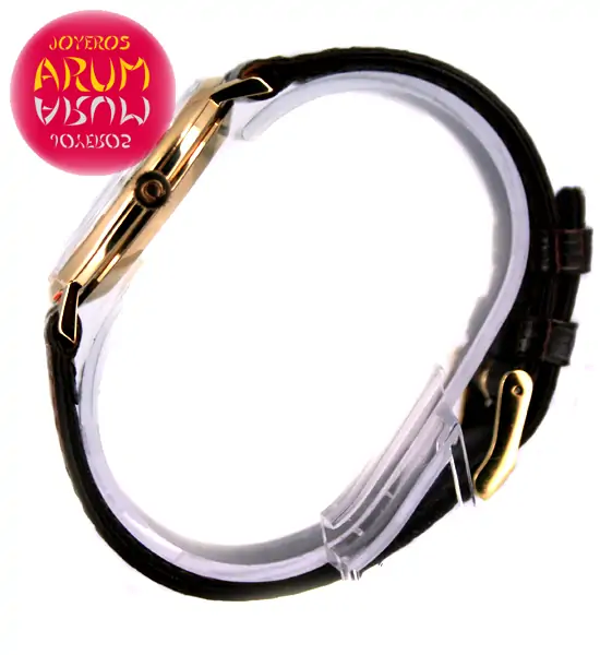 Omega Vintage ARUM Ref. 3034