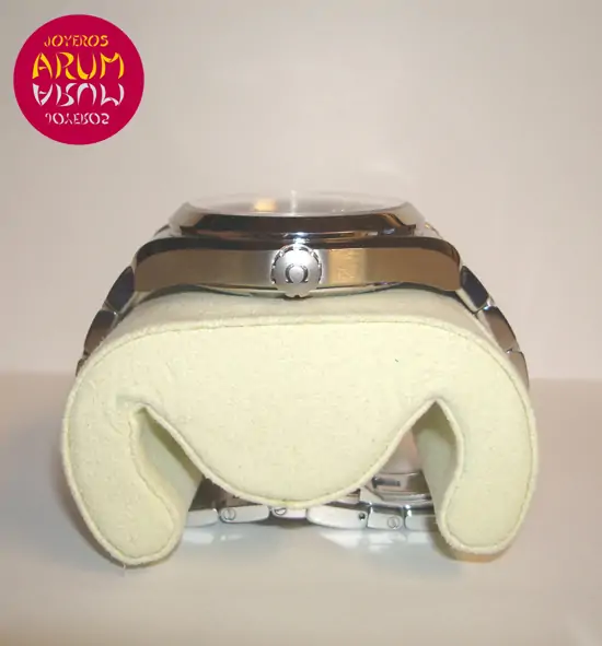 Omega Seamaster Aqua Terra Omega Seamaster Aqua Terra