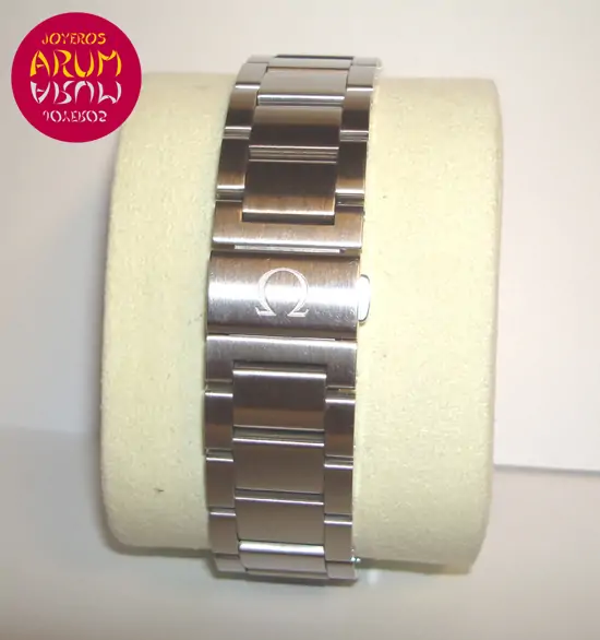 Omega Seamaster Aqua Terra Omega Seamaster Aqua Terra