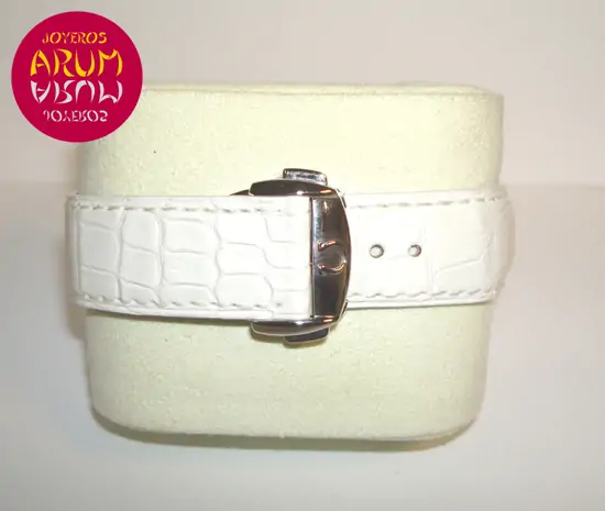 Omega Speedmaster ARUM Ref. 2338 "SOLD"