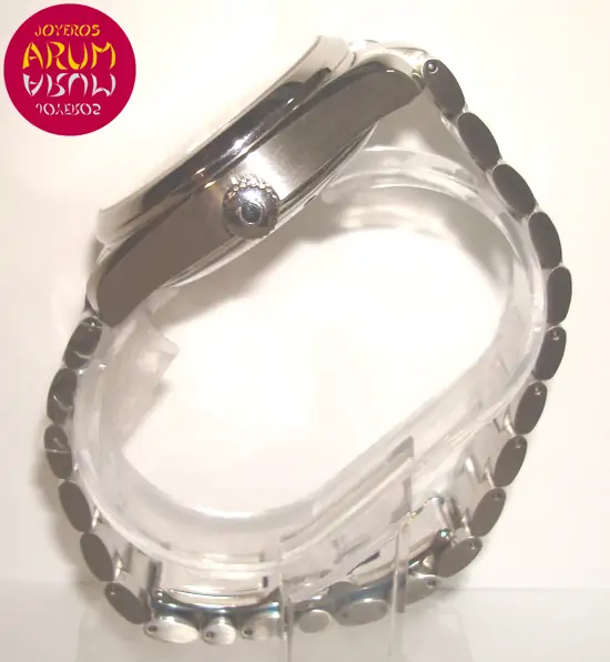 Omega Seamaster Aqua Terra ARUM Ref. 2976 "SOLD"