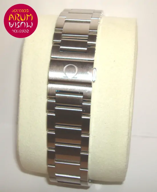 Omega Seamaster Aqua Terra ARUM Ref. 2336