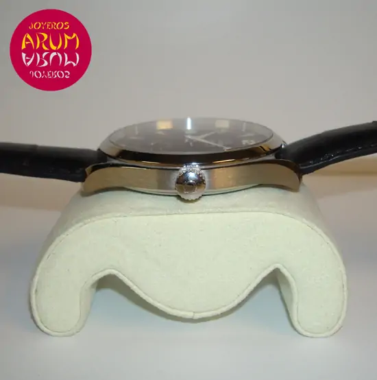 Omega Railmaster Aqua Terra XXL "SOLD"