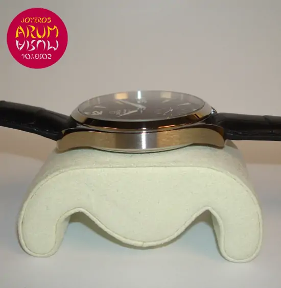 Omega Railmaster Aqua Terra XXL "SOLD"