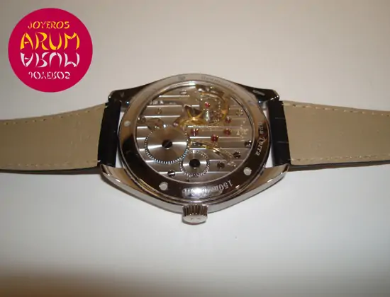 Omega Railmaster Aqua Terra XXL "SOLD"