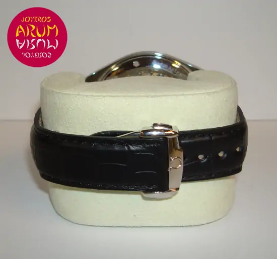 Omega Railmaster Aqua Terra XXL "SOLD"