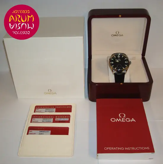 Omega Railmaster Aqua Terra XXL "SOLD"