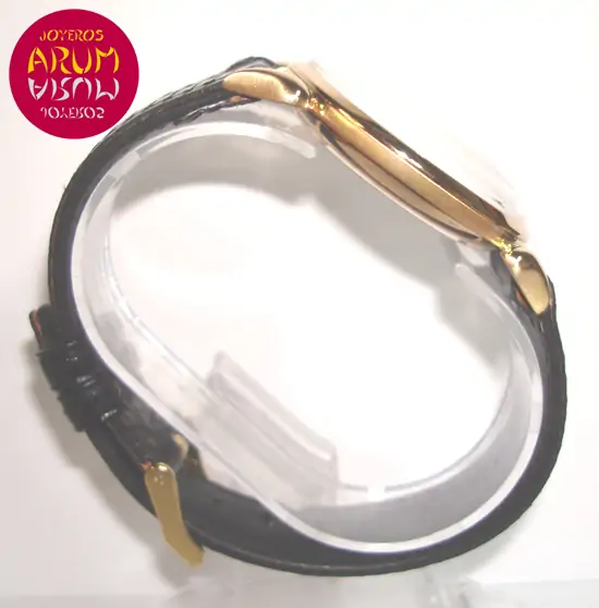 Omega Vintage ARUM Ref. 2828