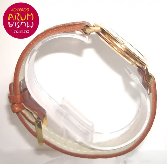 Omega Vintage ARUM Ref. 2732