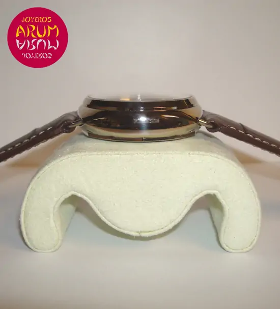 Panerai Radiomir 8 Days GMT "SOLD"