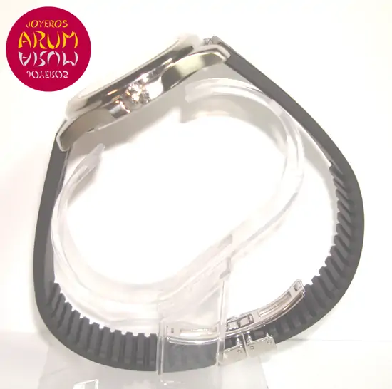 Patek Philippe Aquanaut ARUM Ref. 2802 "SOLD"