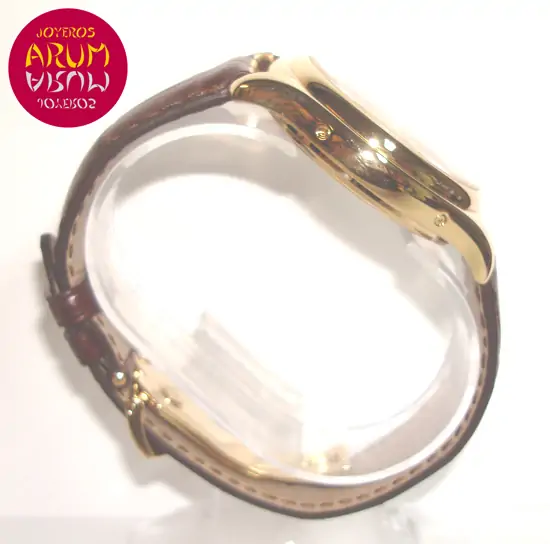 Patek Philippe Annual Calendar ARUM Ref. 2803 "SOLD"