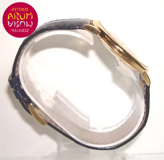 Patek Philippe Calatrava ARUM Ref. 2785 "SOLD"