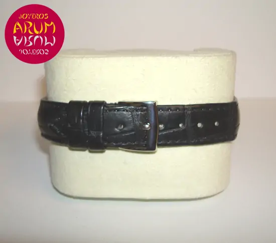 Patek Philippe Vintage Stainless Steel Teardrop Lugs "sold"