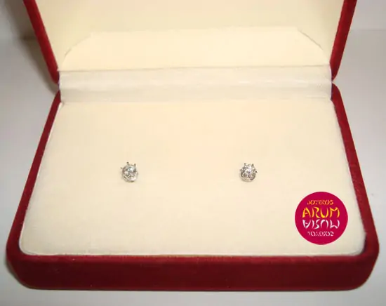 Earrings claw with brilliant 0,27 qts. "SOLD"