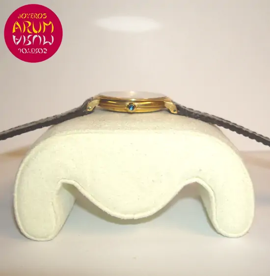 Piaget Vintage ARUM Ref. 810 "SOLD"