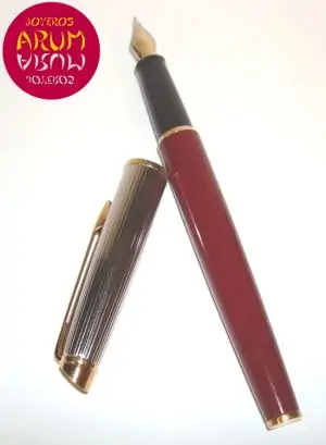 Waterman Fountain Pen