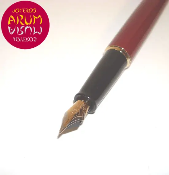 Waterman Fountain Pen