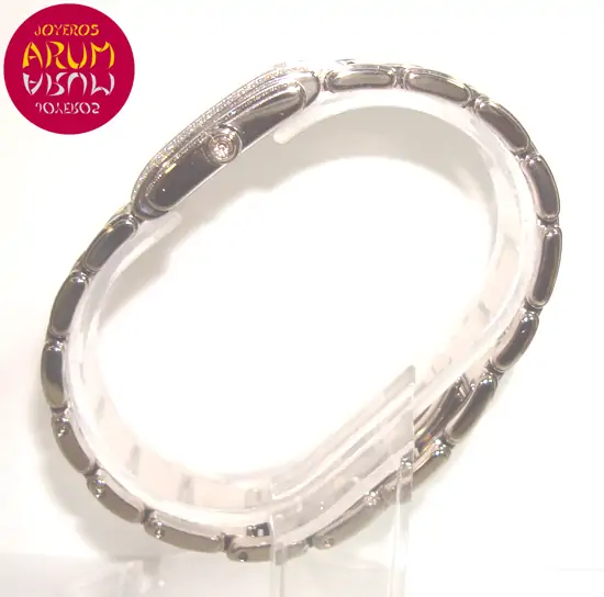 Patek Philippe Twenty 4 ARUM Ref. 2990 "SOLD"