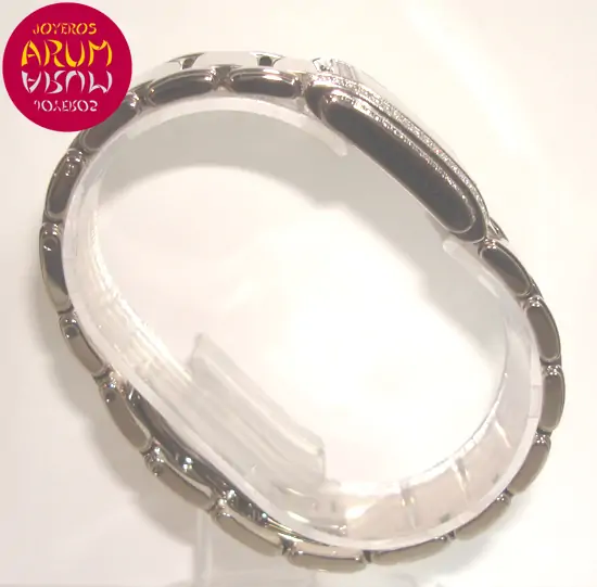 Patek Philippe Twenty 4 ARUM Ref. 2990 "SOLD"