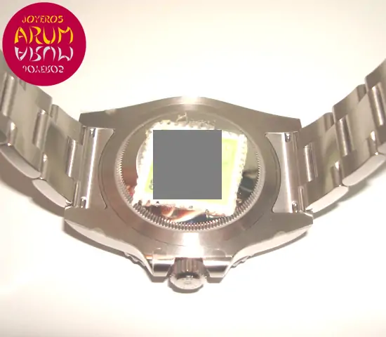 Rolex GMT Master II ARUM Ref. 2958 "SOLD"