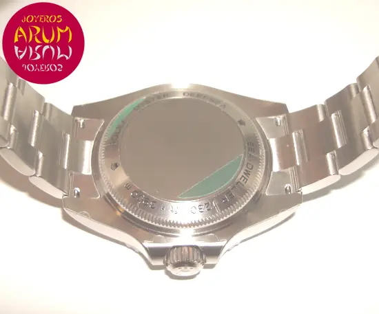 Rolex Sea Dweller ARUM Ref. 3006 "SOLD"
