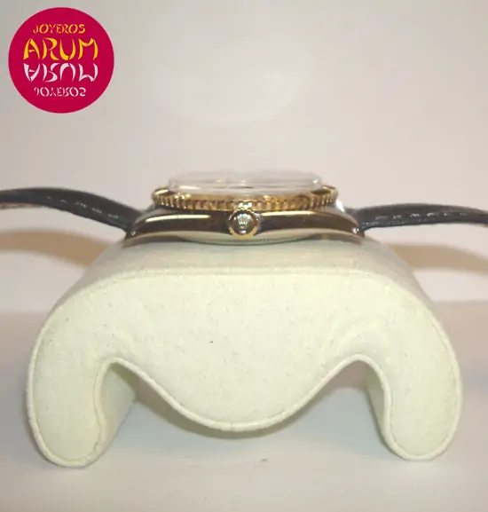 Rolex Datejust Turn-O-Graph ARUM Ref. 2108 "SOLD"