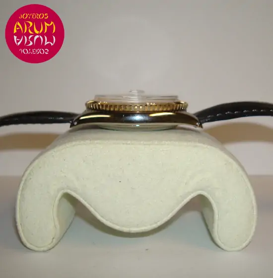 Rolex Datejust Turn-O-Graph ARUM Ref. 2108 "SOLD"