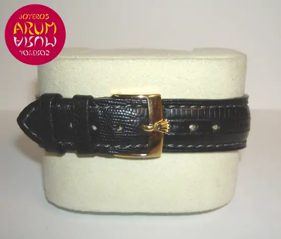 Rolex Datejust Turn-O-Graph ARUM Ref. 2108 "SOLD"