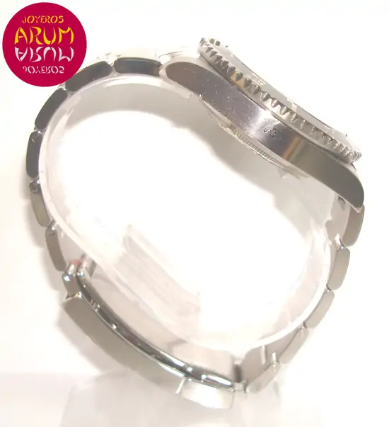 Rolex Submariner Ceramic ARUM Ref. 2993 "SOLD"