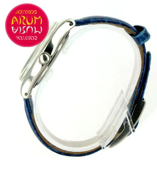 Swatch Platinum Tresor Magique ARUM Ref. 3008 "SOLD"