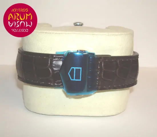 Tag Heuer Carrera Day Date ARUM Ref. 2305 "SOLD"