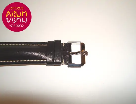 Ulysse Nardin Michelangelo ARUM Ref. 2597 Ulysse Nardin Michelangelo ARUM Ref. 2597