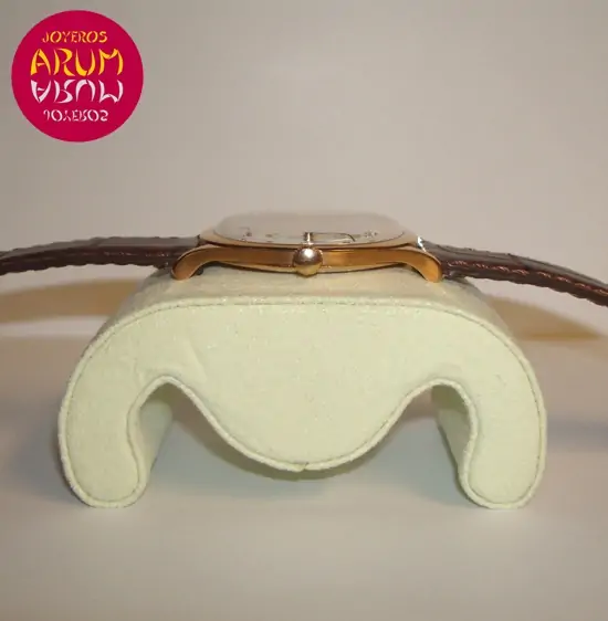 Vacheron Constantin Vintage ARUM Ref. 2190 "SOLD"