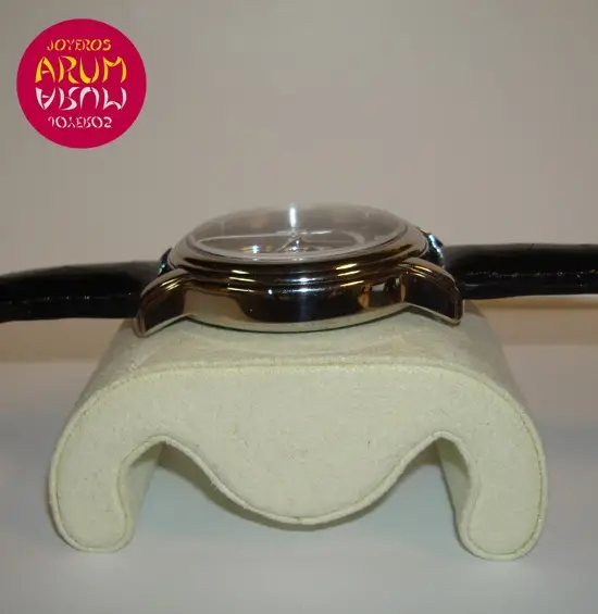 Zenith El Primero Chronomaster ARUM Ref. 2353 "SOLD"