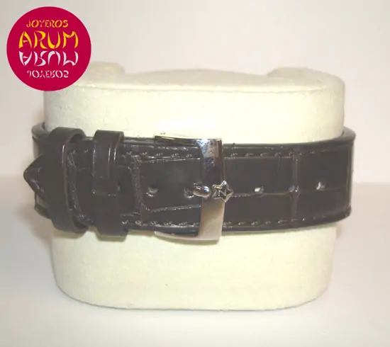 Zenith El Primero Chronomaster ARUM Ref. 2202 "SOLD"