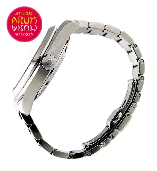 Omega Seamaster GMT ARUM Ref. 3615/2 "SOLD"