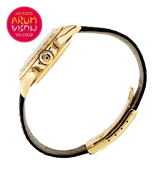 Rolex Daytona Zenith ARUM Ref. 3565/2 "SOLD"