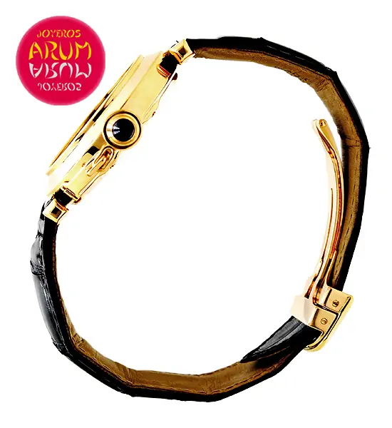 Cartier Pasha ARUM Ref. 3642/2 "SOLD" Cartier Pasha ARUM Ref. 3642/2 "SOLD"