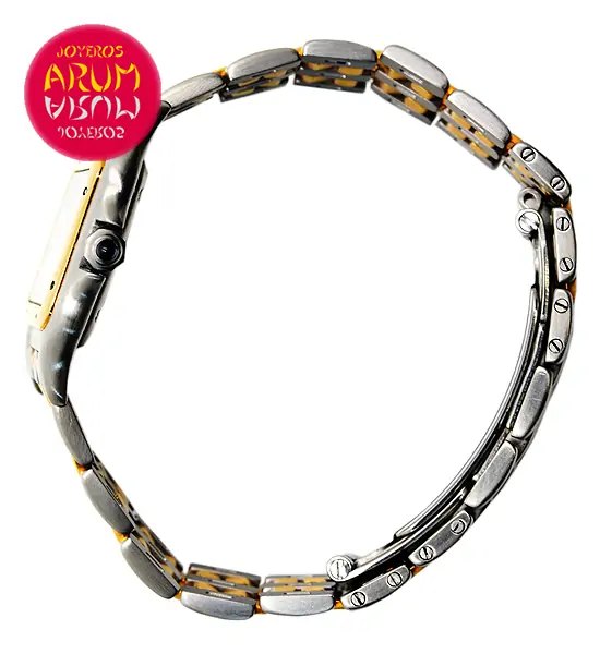 Cartier Panthere Steel & Gold Shop Ref. 3813/527 "SOLD"