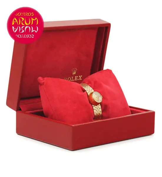 Rolex Chameleon Vintage Shop Ref. 3852/571