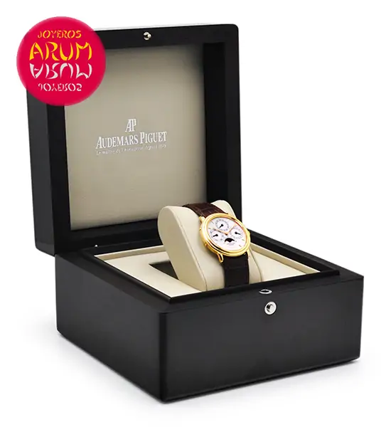 Audemars Piguet Quantieme Perpetual Shop Ref. 3845/564 "SOLD"