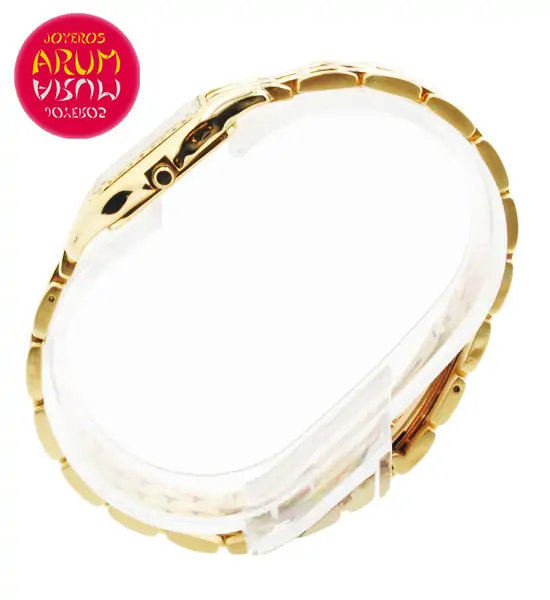 Omega Lady Gold & Diamonds Shop Ref. 3990/715 "SOLD"