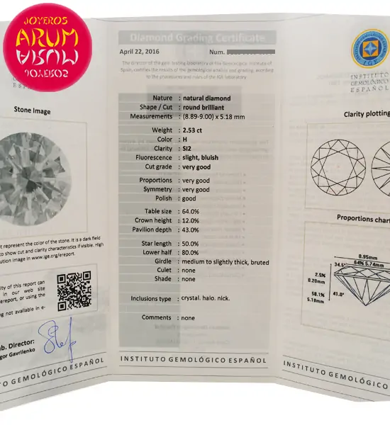 Diamond for Investment 2,53 cts. RAJ1227