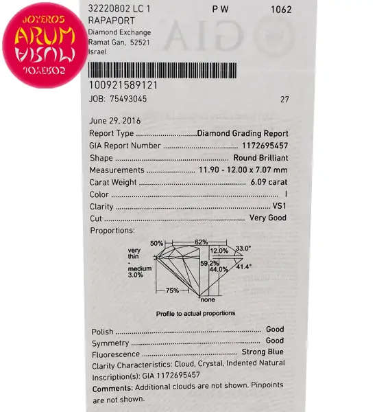 Diamond for Investment 6.09 ct. RAJ1270