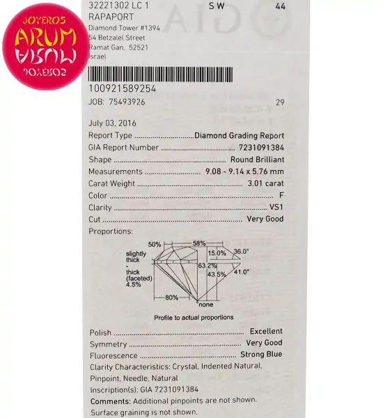 Diamond for Investment 3.01 ct. RAJ1271