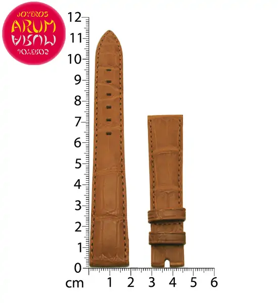 Z Rolex Strap Crocodile Leather 19-16 RAC95