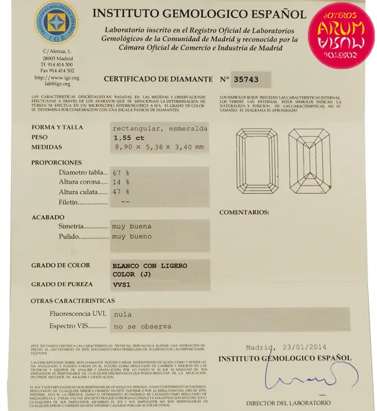 Diamond for Investment 1,55 ct. RAJ170 "SOLD"