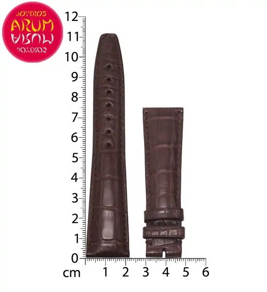 Z IWC Strap Crocodile Leather 22-18 RAC1299